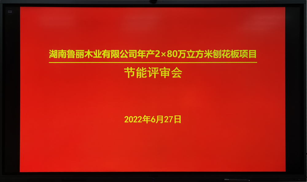永州鲁丽160万立方刨花板项目节能报告